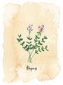 Image Not Available